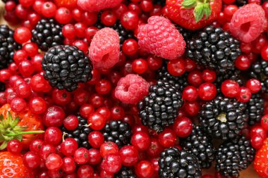 Arka plan olarak farklı taze böğürtlen, yakın plan