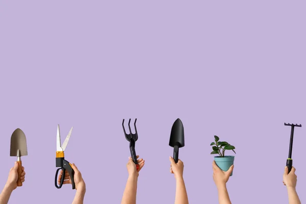 People Gardening Tools Plant Lilac Background — Stock Photo, Image