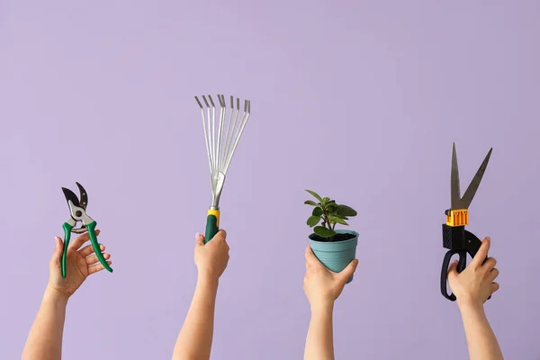 Nők Kertészeti Szerszámok Növény Orgona Háttér — Stock Fotó