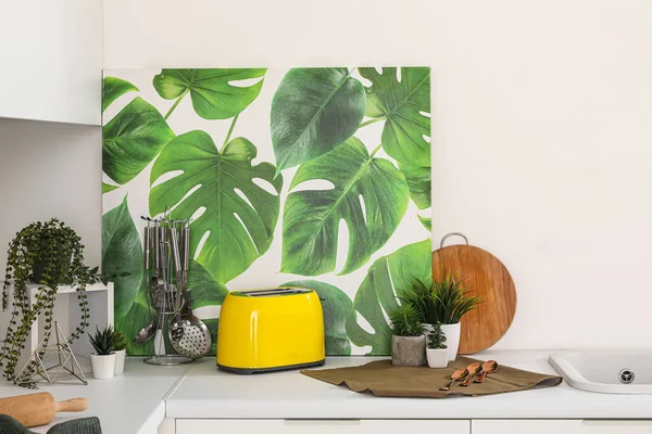 Utensils Plants Painting Counter Kitchen — Stock Photo, Image