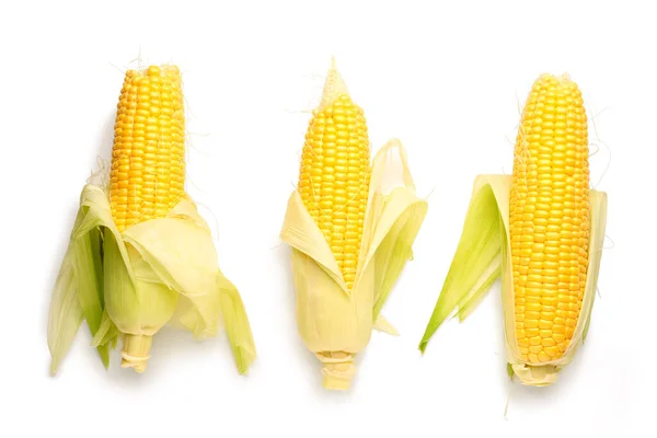 Fresh Corn Cobs White Background — Stock Photo, Image