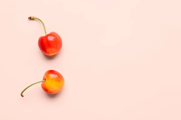 Sweet Yellow Cherries Pink Background — Stock Photo, Image