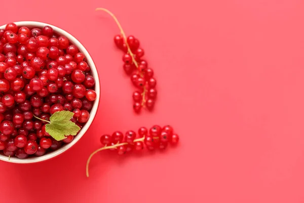 Bowl Fresh Currant Red Background Closeup — Stock Photo, Image