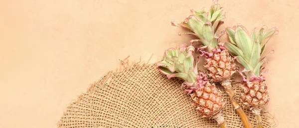 Decorative Pineapples Straw Hat Beige Background — Stock Photo, Image