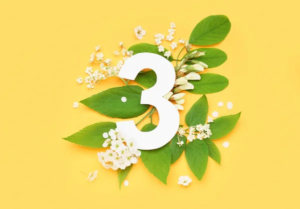 Folhas Verdes Flores Com Papel Número Três Fundo Amarelo — Fotografia de Stock