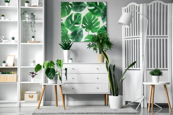 Chest Drawers Green Houseplants Interior Light Living Room — Stock Photo, Image
