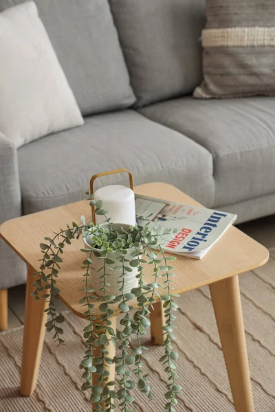 Holztisch Mit Zimmerpflanze Und Magazin Wohnzimmer Nahaufnahme — Stockfoto