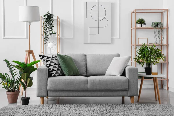 Interior Light Living Room Cozy Grey Sofa Green Houseplants — Stock Photo, Image