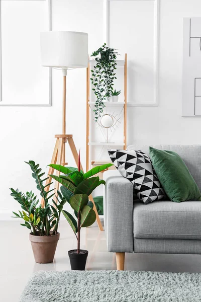 stock image Interior of light living room with cozy grey sofa and green houseplants