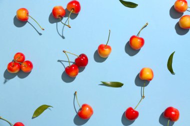 Mavi arka planda bir sürü tatlı kiraz