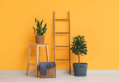Ahşap merdiven, masa, ev bitkileri ve sepet turuncu duvarın yanında.