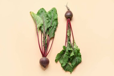 Bej arka planda yaprakları olan taze pancar kökleri