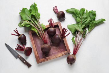 Hafif arka planda yeşil yapraklı taze pancar pancarları.