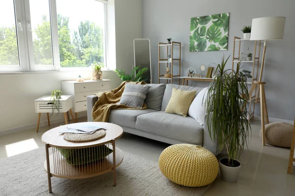Interior Light Living Room Grey Sofa Houseplants Mirror — Stock Photo, Image