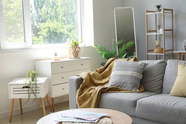 Interior Light Living Room Grey Sofa Houseplants Mirror — Stock Photo, Image