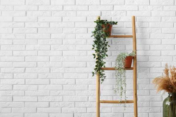 Ξύλινη Σκάλα Και Φυτά Κοντά Στο Λευκό Τοίχο Τούβλο Στο — Φωτογραφία Αρχείου