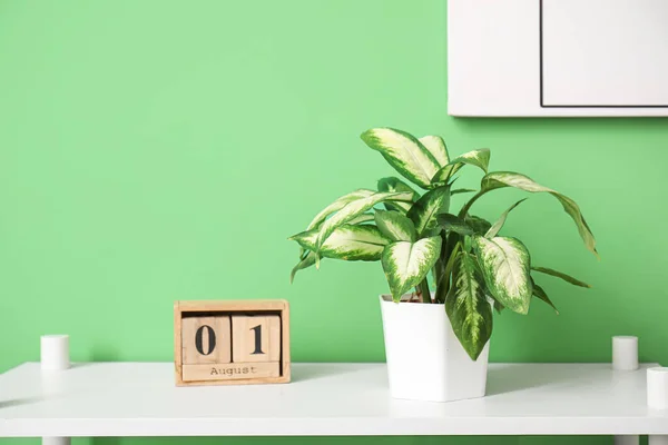 Kalender Und Zimmerpflanze Auf Dem Tisch Neben Grüner Wand — Stockfoto