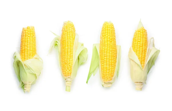 Много Свежих Кукурузных Початков Белом Фоне — стоковое фото