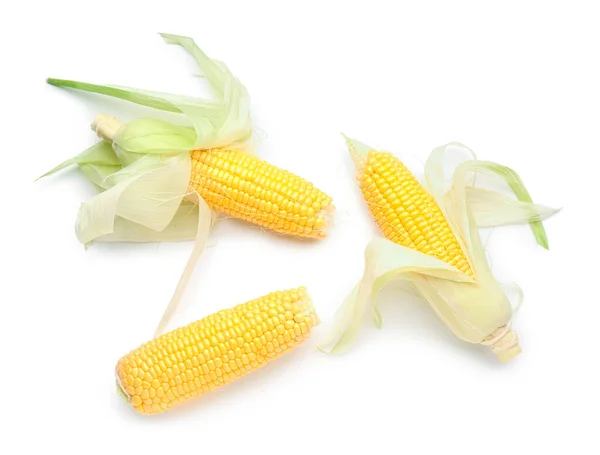 Свежая Кукуруза Початки Белом Фоне — стоковое фото