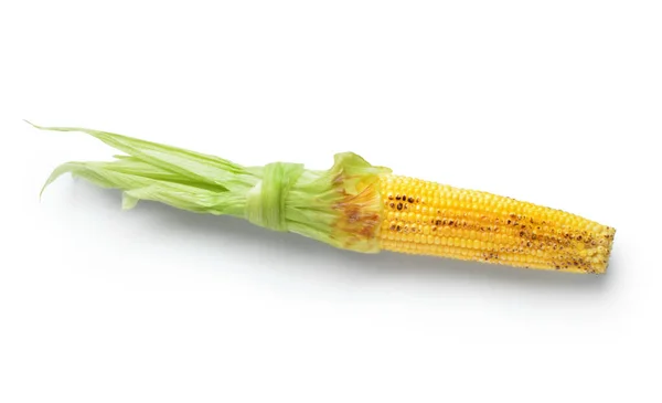 Tasty Grilled Corn Cob White Background — Stock Photo, Image