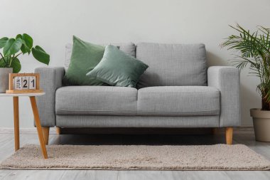 Şık gri kanepe, ev bitkileri ve oturma odasındaki ışık duvarının yanındaki masa.