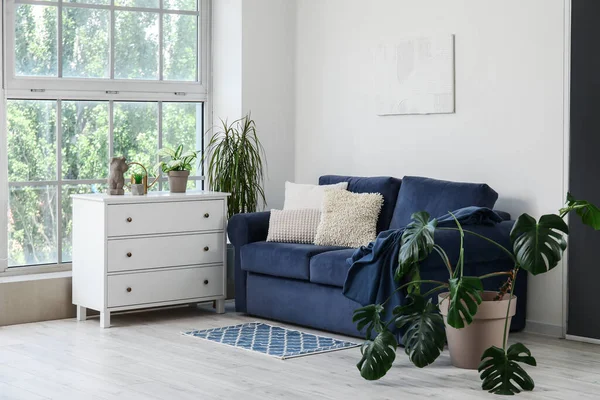 Interior Salón Luminoso Con Acogedor Sofá Azul Cómoda Plantas Interior —  Fotos de Stock