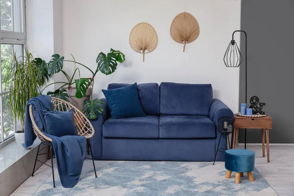 Interior Sala Estar Con Luz Acogedora Sofá Azul Sillón Plantas —  Fotos de Stock