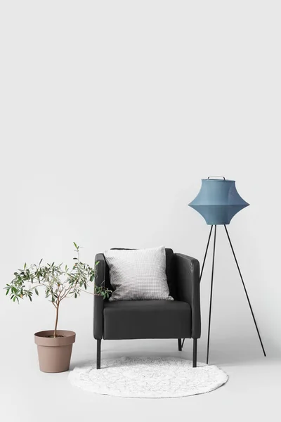 Fauteuil Noir Avec Lampe Plante Intérieur Sur Fond Blanc — Photo