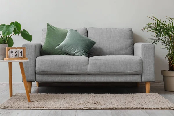 Stylish Grey Sofa Houseplants Table Light Wall Living Room — Stock Photo, Image