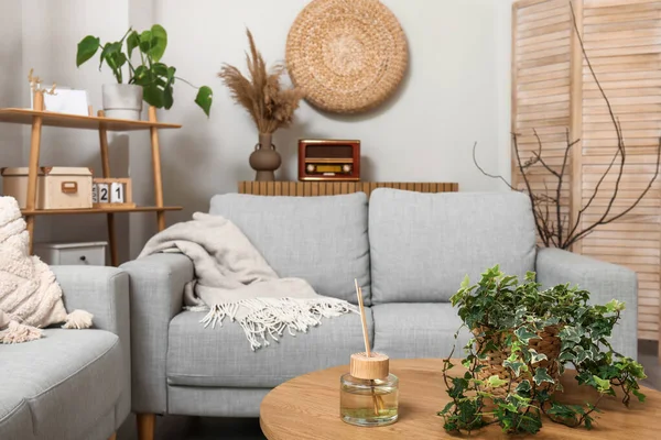 轻便客厅内的老式灰色沙发 桌椅和室内植物 — 图库照片