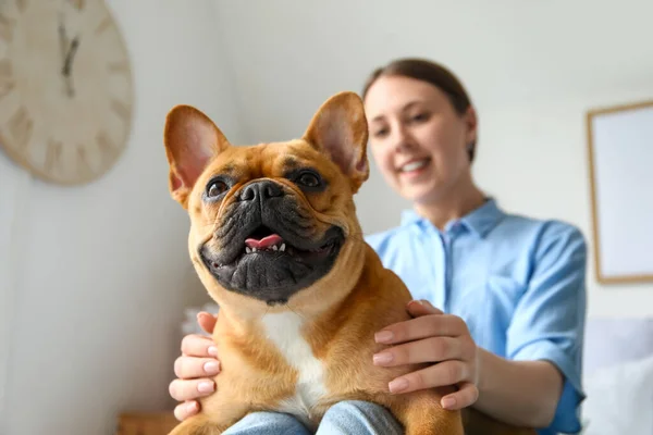 Mujer Joven Con Lindo Bulldog Francés Dormitorio Primer Plano —  Fotos de Stock