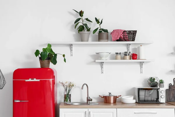 Interior Light Kitchen Red Fridge Counters Shelves Houseplants — Stock Photo, Image