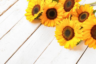 Beyaz ahşap arka plan üzerinde güzel ayçiçekleri