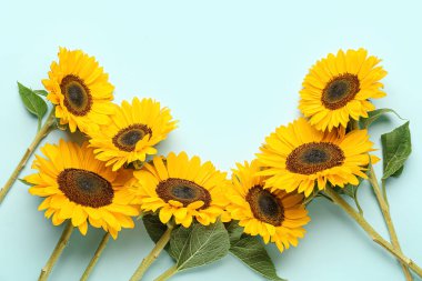 mooie zonnebloemen op blauwe achtergrond