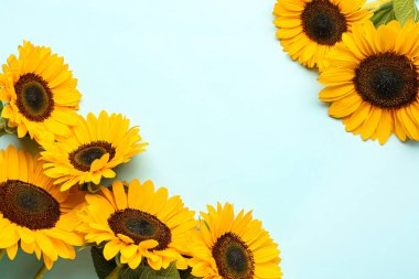 mooie zonnebloemen op blauwe achtergrond