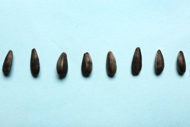 Mavi arkaplanda doğal ayçiçeği tohumları