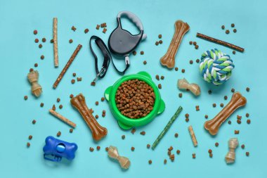 Renk arka planında farklı köpek maması ve hayvan bakım aksesuarları olan kompozisyon