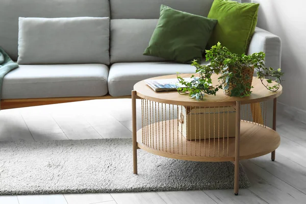 Holztisch Mit Zimmerpflanze Und Magazin Inneren Des Hellen Wohnzimmers — Stockfoto