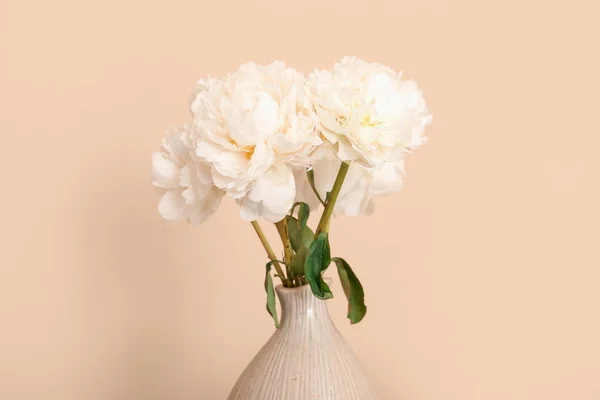Vase White Peonies Beige Background — Stock Photo, Image
