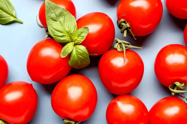 Świeże Pomidory Wiśniowe Bazylia Niebieskim Tle — Zdjęcie stockowe