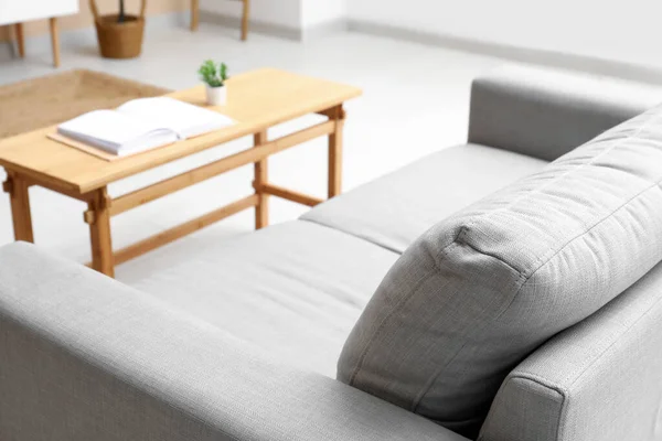 Modern Living Room Interior Cozy Grey Sofa Table — Stock Photo, Image