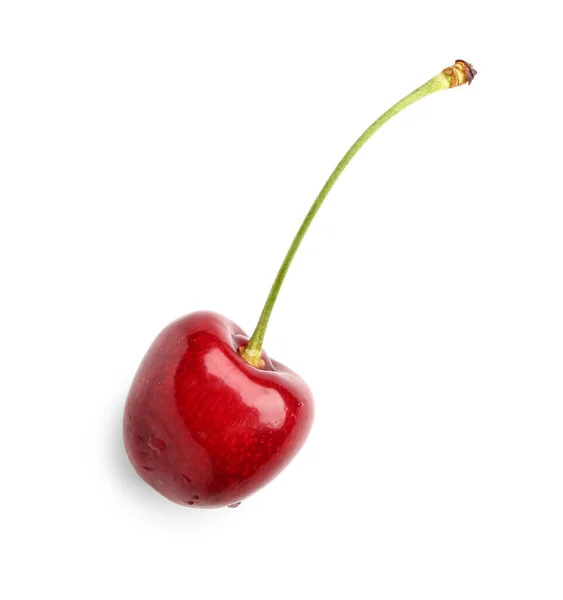 Piros Édes Cseresznye Fehér Alapon — Stock Fotó