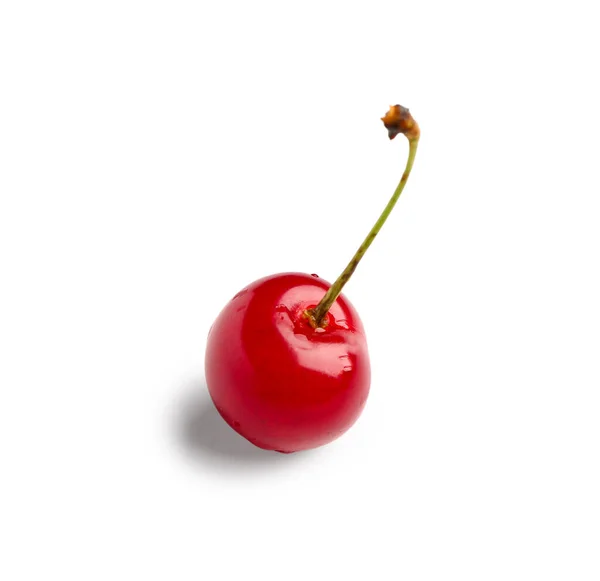Piros Édes Cseresznye Fehér Alapon — Stock Fotó