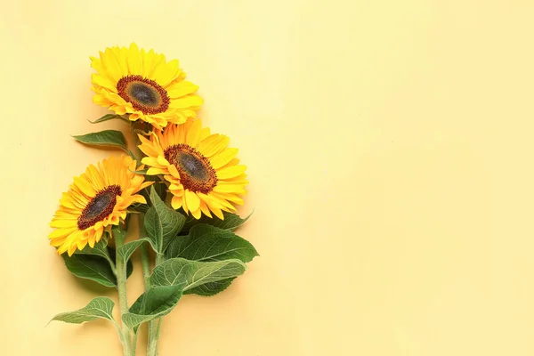 Beautiful Sunflowers Yellow Background — стоковое фото