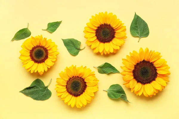 Piękne Słoneczniki Liście Żółtym Tle — Zdjęcie stockowe