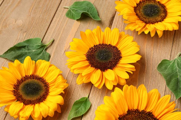 Schöne Sonnenblumen Und Blätter Auf Holzgrund — Stockfoto