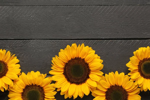 Beautiful Sunflowers Black Wooden Background — Stock Photo, Image