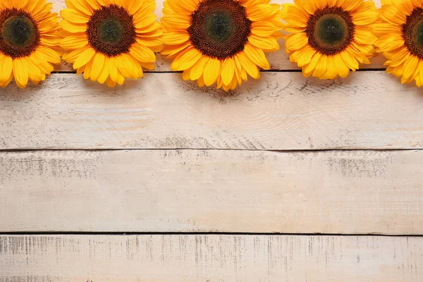 Schöne Sonnenblumen Auf Weißem Holzhintergrund — Stockfoto