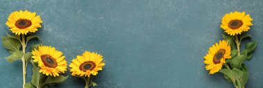 Gri arkaplanda güzel ayçiçekleri olan afiş, metin için boşluk, üst görünüm
