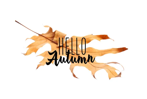Banner Κείμενο Hello Autumn Και Πεσμένο Φύλλο — Φωτογραφία Αρχείου